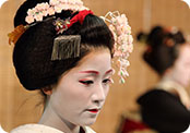 Geisha in Kyoto