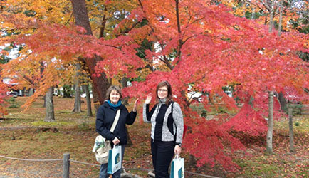Japan Autumn Crimson Leaf Tour