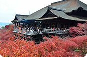 Kiyomizudera Japan in autumn