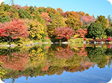Autumn colours of Japan