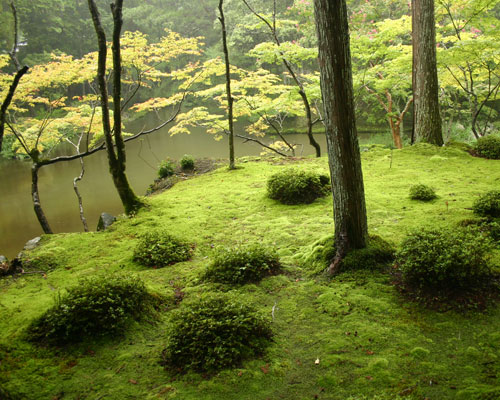 Saihoji, Kyoto Saiho-ji Garden